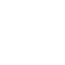 Druid