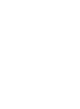 Skyrunner