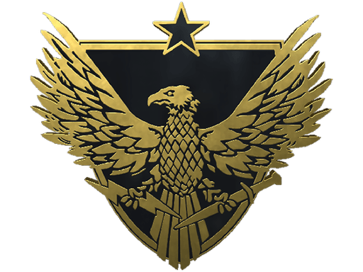 Καρφίτσα Brigadier General