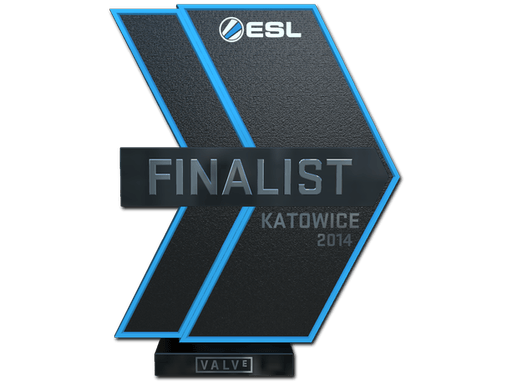 Finalista šampionátu EMS One Katowice 2014