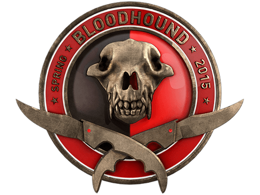 เหรียญการท้าทายปฏิบัติการ Bloodhound