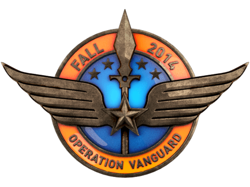 เหรียญการท้าทายปฏิบัติการ Vanguard