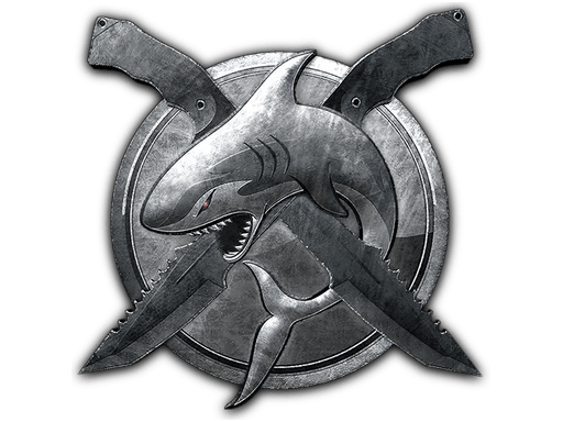 Stříbrná mince za operaci Riptide