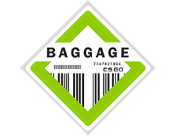Колекцията Baggage