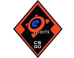 Колекцията eSports 2013