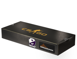 Pachet cu suvenir (Cobblestone DreamHack 2014)