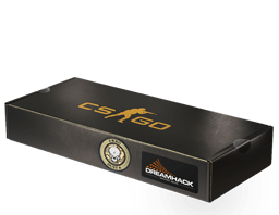 Pachet cu suvenir (Dust II DreamHack 2014)