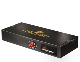 Pachet cu suvenir (Mirage DreamHack 2014)
