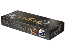 2015年 DreamHack 克卢日-纳波卡锦标赛古堡激战纪念包