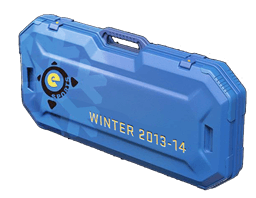 Cassa invernale degli eSport del 2013