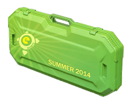Cassa estiva degli eSport del 2014