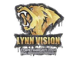 Lynn Vision