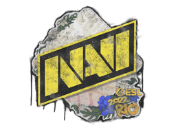 Zabalené graffiti (Natus Vincere IEM Rio 2022)
