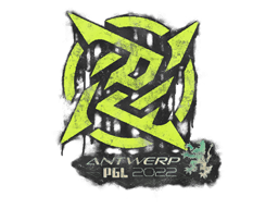 Zabalené graffiti (Ninjas in Pyjamas PGL Antwerp 2022)