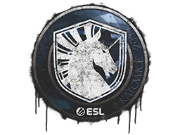 Zabalené graffiti (Team Liquid Katowice 2019)