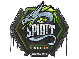 Team Spirit
