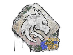 Forseglet graffiti (Team Spirit Rio 2022)