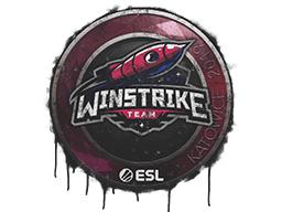 Versiegeltes Graffito (Winstrike Team Kattowitz 2019)