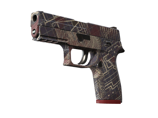 P250 (Facility Draft)