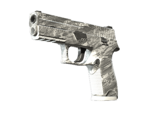 P250 (Sleet)