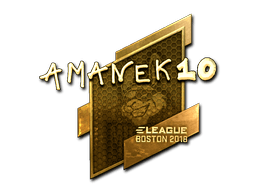 Samolepka (AmaNEk zlatá Boston 2018)