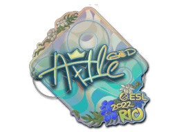 Klistermærke (Ax1Le holo Rio 2022)