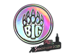 Samolepka (BIG holografická PGL Stockholm 2021)