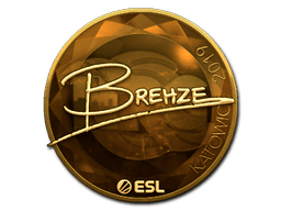 Samolepka (Brehze zlatá Katowice 2019)