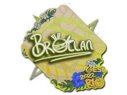 Samolepka (Brollan IEM Rio 2022)