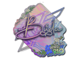 สติกเกอร์ (BUDA โฮโล Rio 2022)
