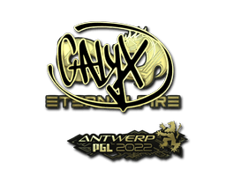 Samolepka (Calyx zlatá PGL Antwerp 2022)