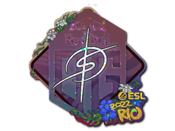 Klistermærke (degster glitter Rio 2022)