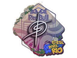 Adesivo (degster Rio 2022)