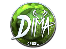 สติกเกอร์ (Dima ฟอยล์ Katowice 2019)