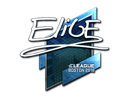 Klistermærke (EliGE folie Boston 2018)