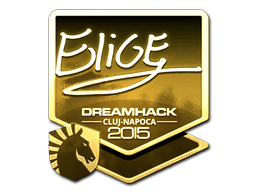 Samolepka (EliGE zlatá Kluž 2015)