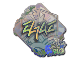Klistermærke (EliGE holo Rio 2022)