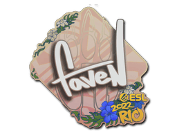 Samolepka (faveN IEM Rio 2022)