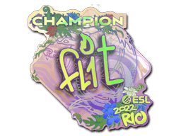 Klistermærke (FL1T Holo, mester Rio 2022)