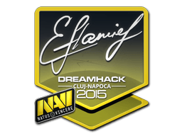 Naklejka (flamie Kluż-Napoka 2015)