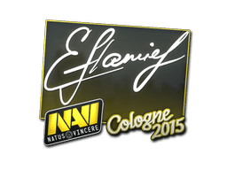 Naklejka (flamie Kolonia 2015)