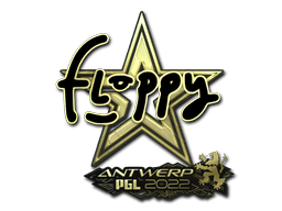 สติกเกอร์ (floppy ทอง Antwerp 2022)