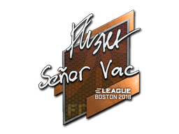 สติกเกอร์ (flusha Boston 2018)