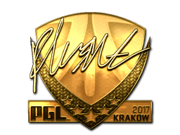 สติกเกอร์ (flusha ทอง Krakow 2017)