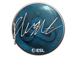 สติกเกอร์ (flusha Katowice 2019)
