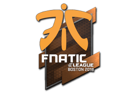 Samolepka (Fnatic Boston 2018)