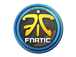Samolepka (Fnatic Kolín nad Rýnem 2014)