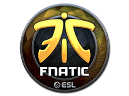 Klistermærke (Fnatic folie Katowice 2019)