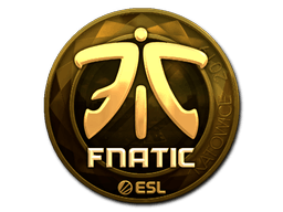 Samolepka (Fnatic zlatá Katowice 2019)