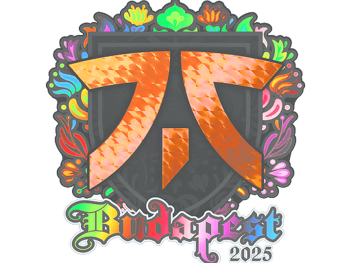 Klistermærke (Fnatic holo Budapest 2025)